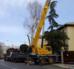 Alquiler de Camión Grúa (Truck crane) / Grúa Automática Freightliner/Effer, Capacidad 12 Tons a 2 mts. Boom extendido verticalmente 14,4 mts 1.540 kilos. en Rodas, Cienfuegos, Cuba